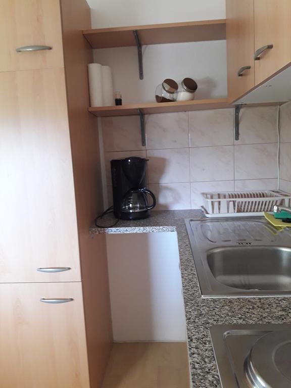 Sirovnik Apartment Бегунє-на-Горенськем Екстер'єр фото